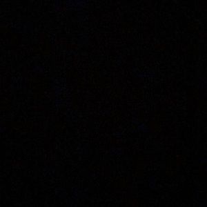 Meet your Posher, Cora